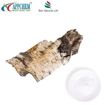 Pols de betulina natural