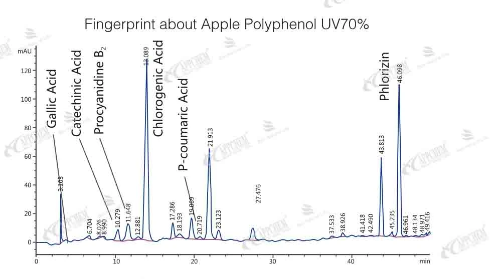 fingerprint fingerprint
