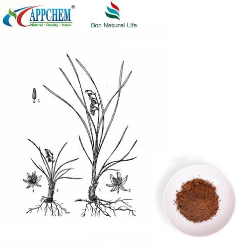 Extracte d'arrel de lilyturf