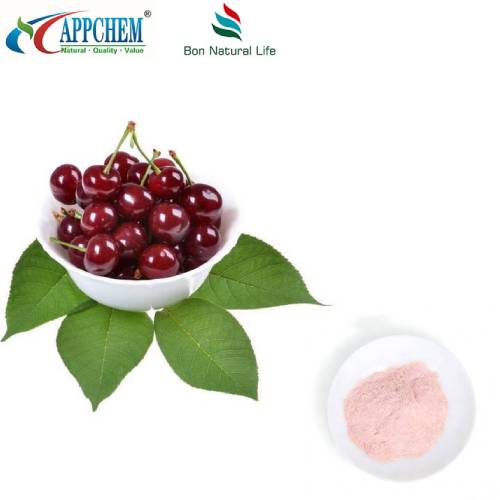 Pols de cirera Montmorency Tart