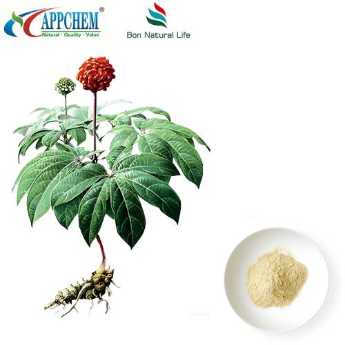 Notoginseng Radix i extracte de rizoma