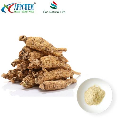 Extracte de Panax Quinquefolius