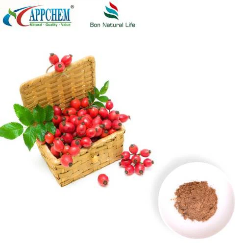 Extracte de rosa mosqueta en pols