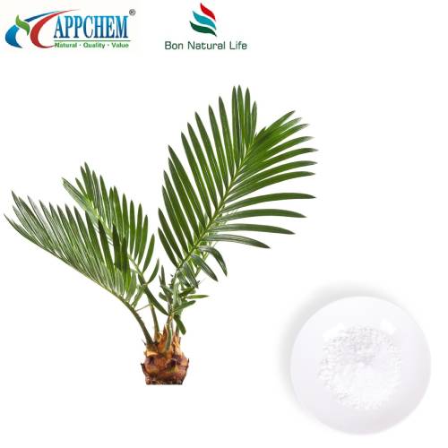 Pols d'extracte de Saw Palmetto