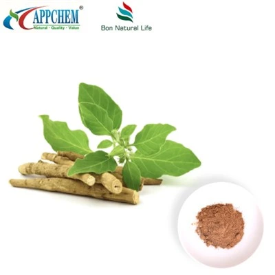 Extracte de Ashwagandha (witanolides) Fabricació 30655-48-2