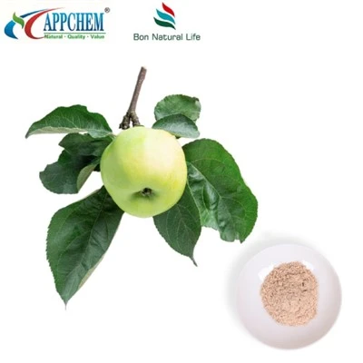 Ingredients cosmètics Phloretin 60-82-2