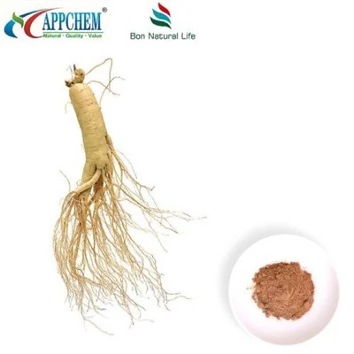 Pols d'extracte de ginseng Panax