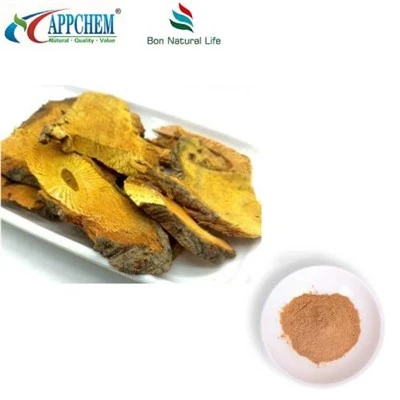 Pols d'extracte de resveratrol Polygonum Cuspidatum
