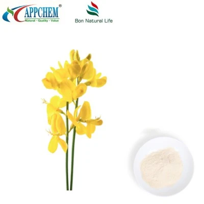 Thermopsis Lanceolata R.Br Extracte; Citisina HPLC98% en pols 485-35-8
